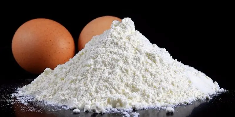 Supply 20kg/bag Egg White Powder  Egg Albumin Powder For Food Additive