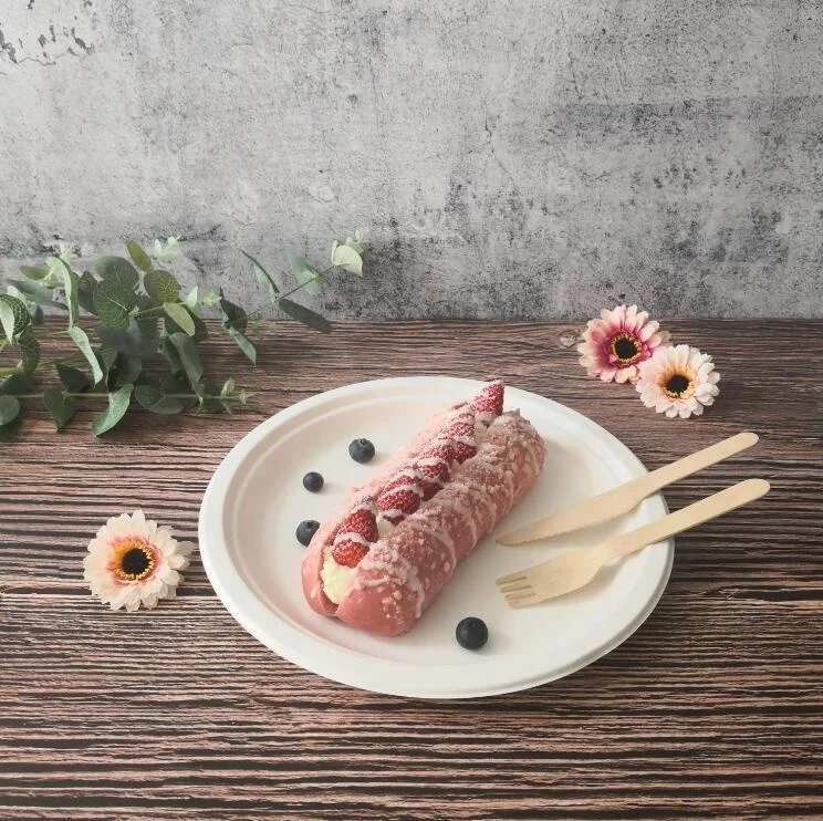 compostable plates sugarcane fiber bagasse paper plate raw