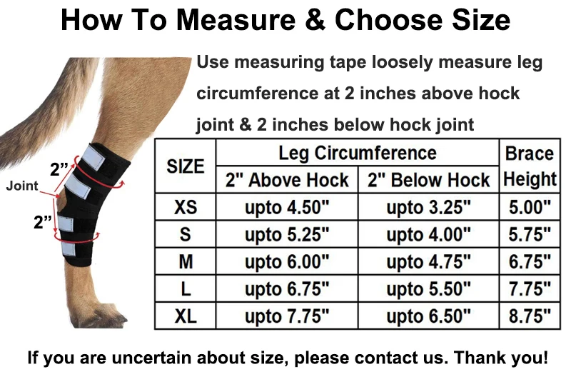 Durable Custom Dog Leg Support Adjustable Neoprene Dog Leg Knee Brace