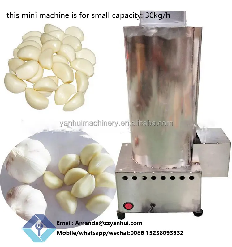 Chain Type Garlic Peeling machine with Big Capacity, 400-1000kg/hr