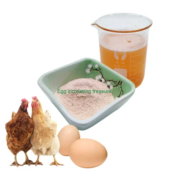 Feed Additives For Layer Increase Egg Production Rate Solve Of Broken Shells And Soft Shells And Improve Eggshell Quality