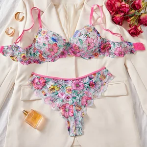 High-Quality Lingerie Set Popular in Europe and America: Sweet and Sensual Style with Mesh Print Underwire Push-Up Bra