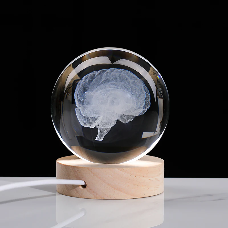 Sphère En Cristal Avec Modèle 3D Du Cerveau Gravé Au Laser - Presse-papier LED - Cadeau Scientifique Ou Déco