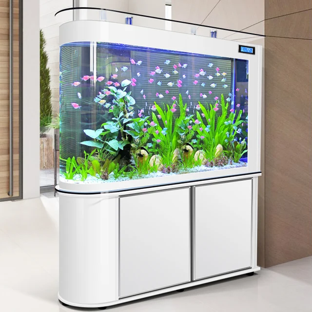 medium fish tank