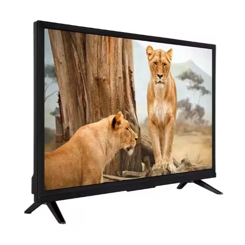 Wholesale Price 19 Inch Smart TV - Customizable LED LCD