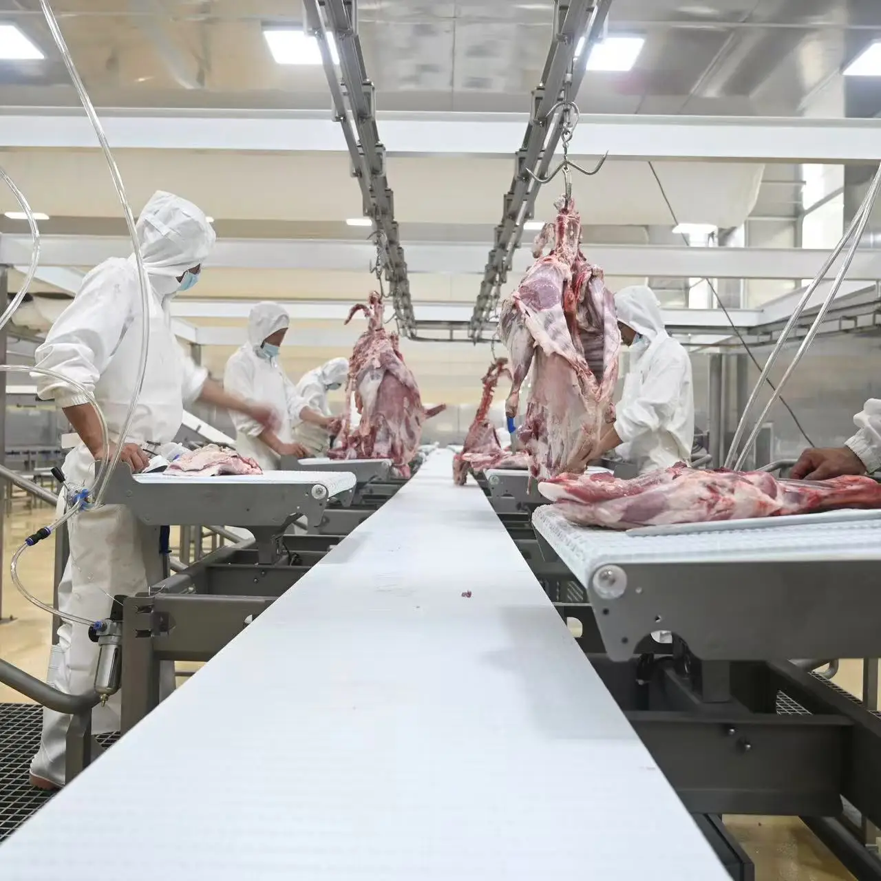 Complete sheep and goat slaughtering line for modern slaughterhouses and meat processing plants