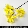 Three-headed lily - yellow