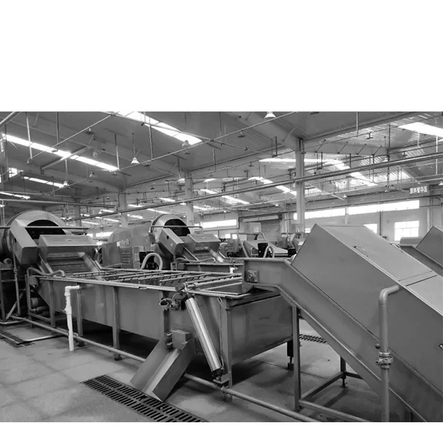 Apple Cider Vinegar Making Machine Apple Vinegar Production Line Juice Pulping and Extractor Juicer Extracting Fruit Juicing 500