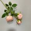#6 rosa