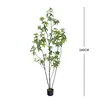 Árbol del dinero de hoja pequeña (Tipo A), 180 cm