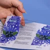Transparent PVC Label Sticker