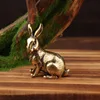 Pequeño conejo afortunado (izquierda)