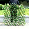 Feuille hitom verte, petite taille.