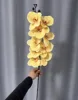 Amarillo