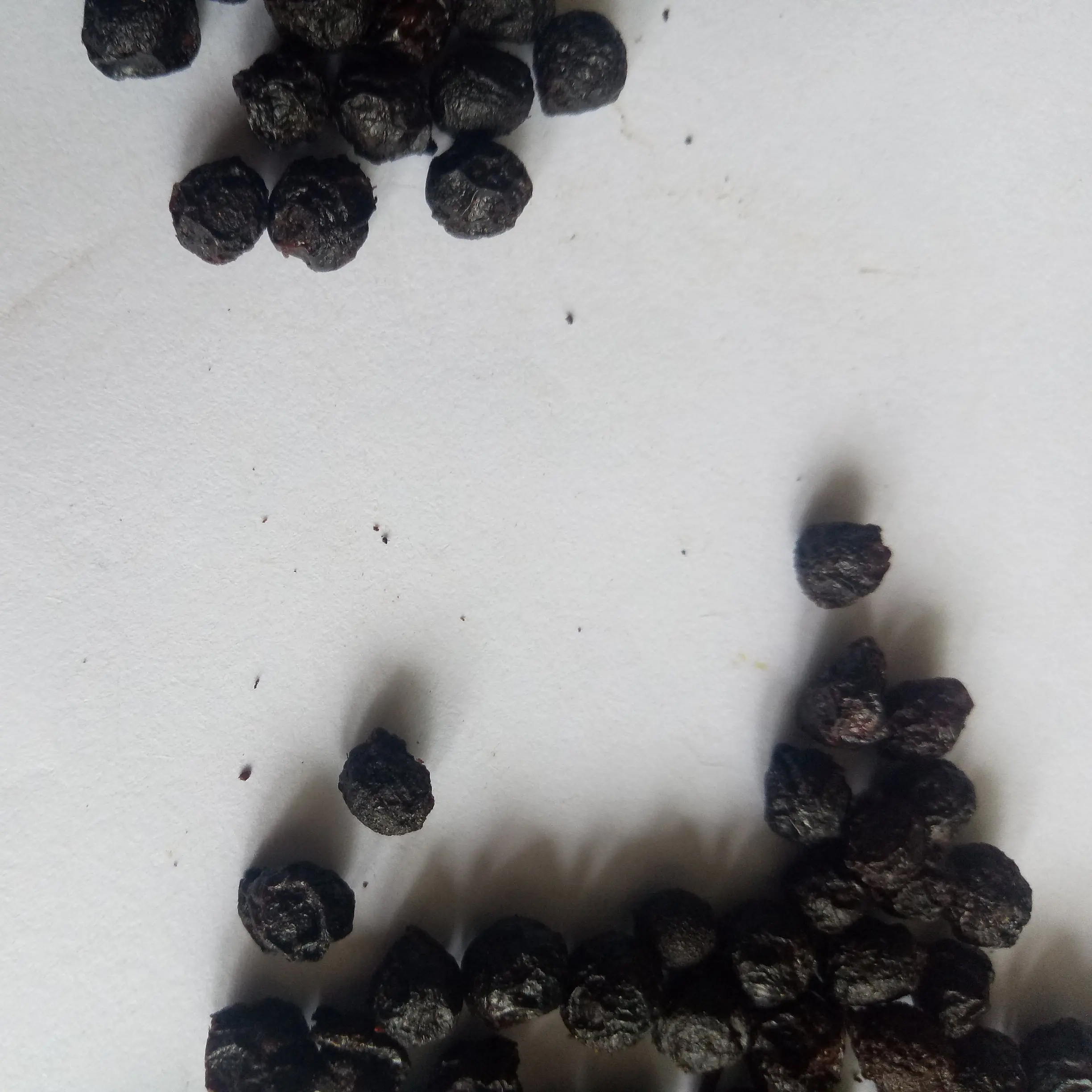 Bi Cheng Qie Dried Fructus Litseae Cubebae Spice Wild Black Fruits Fructus Litseae