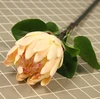 Blanco y rosa