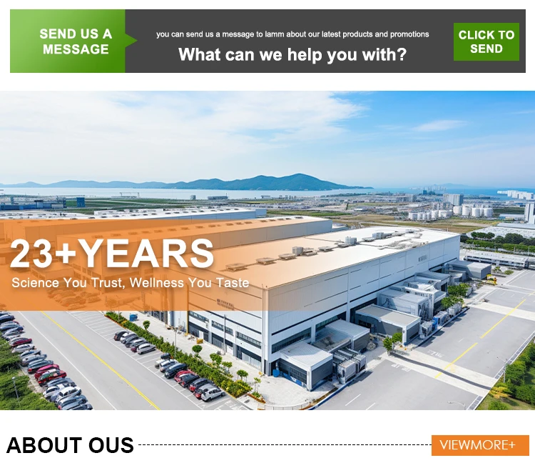 WELLBODY Halal Natural Organic Omega 3 DHA Kids Gummies for Vitamin and Brain Support | Private Label Factory Supply