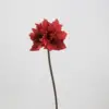 Flor de Gladiolus Rojo