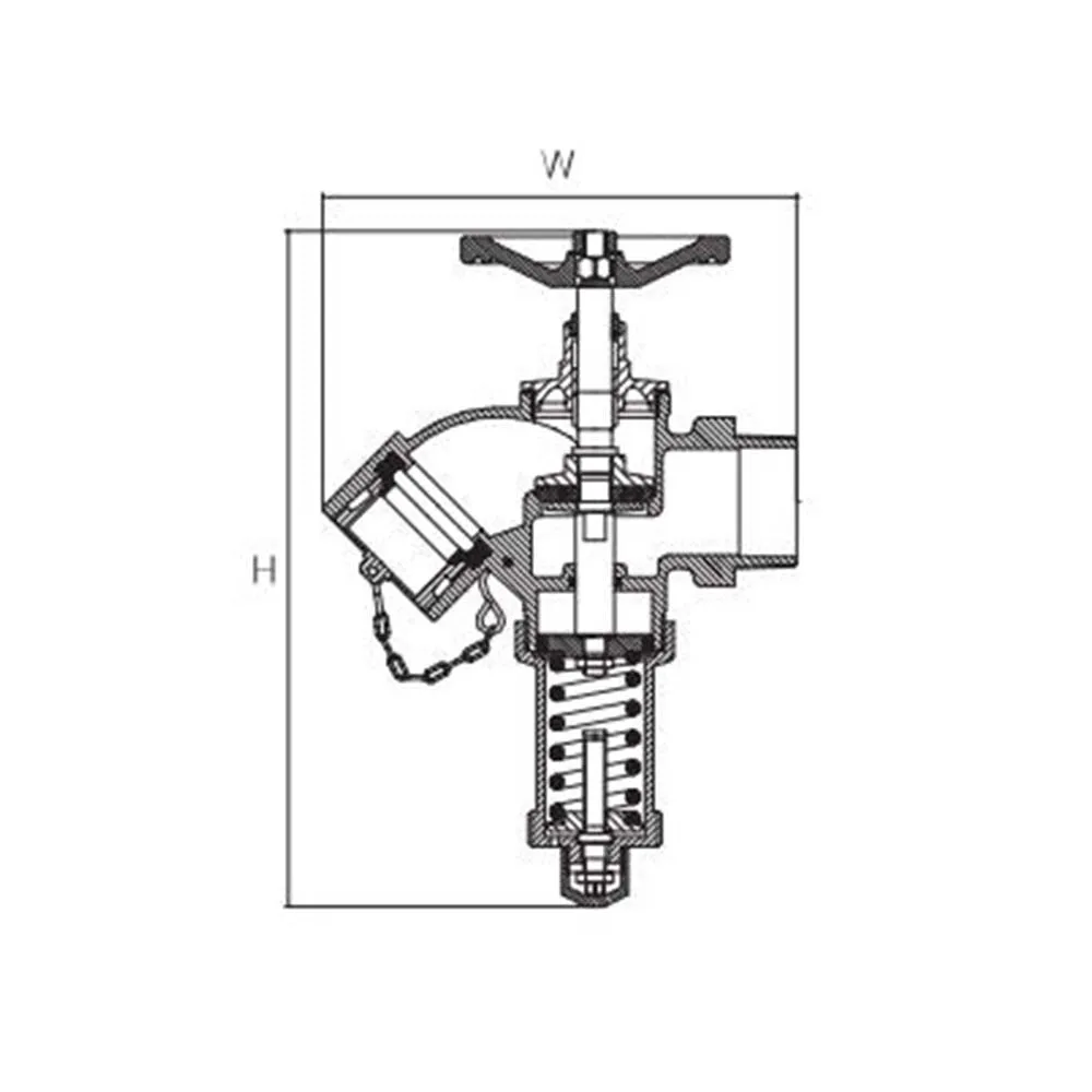 Screw Inlet Oblique Landing Valve With PRV for Wet Riser| Alibaba.com