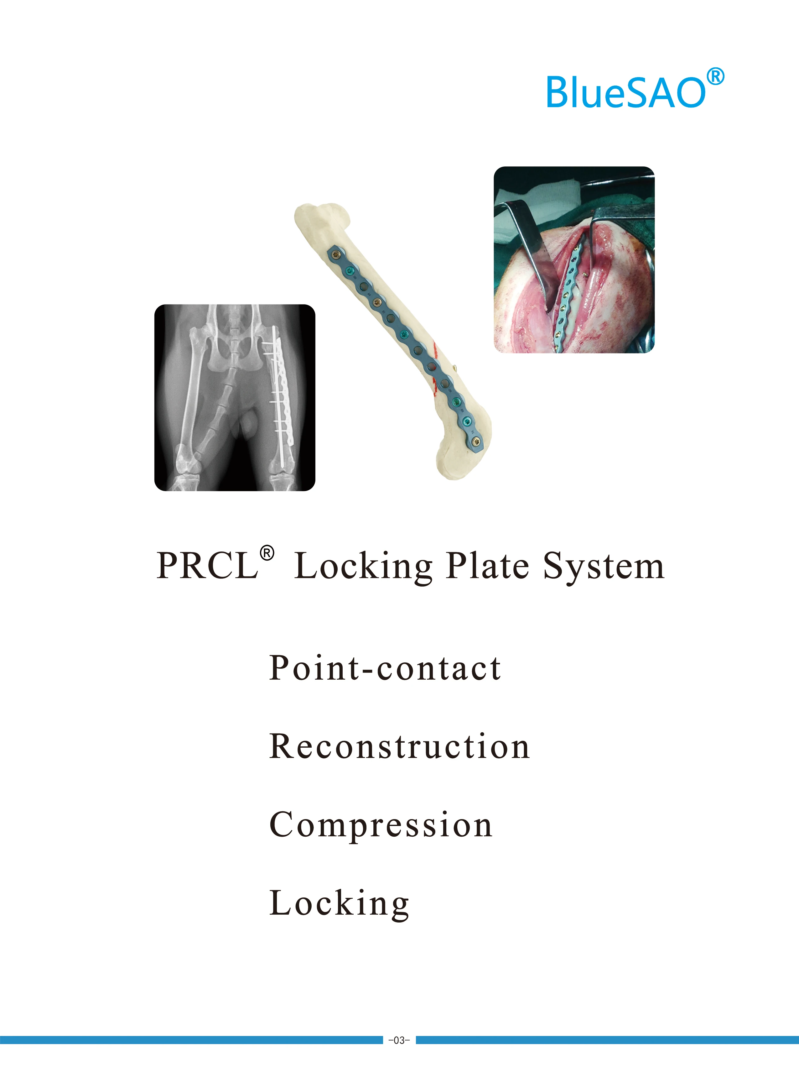 Product View 6