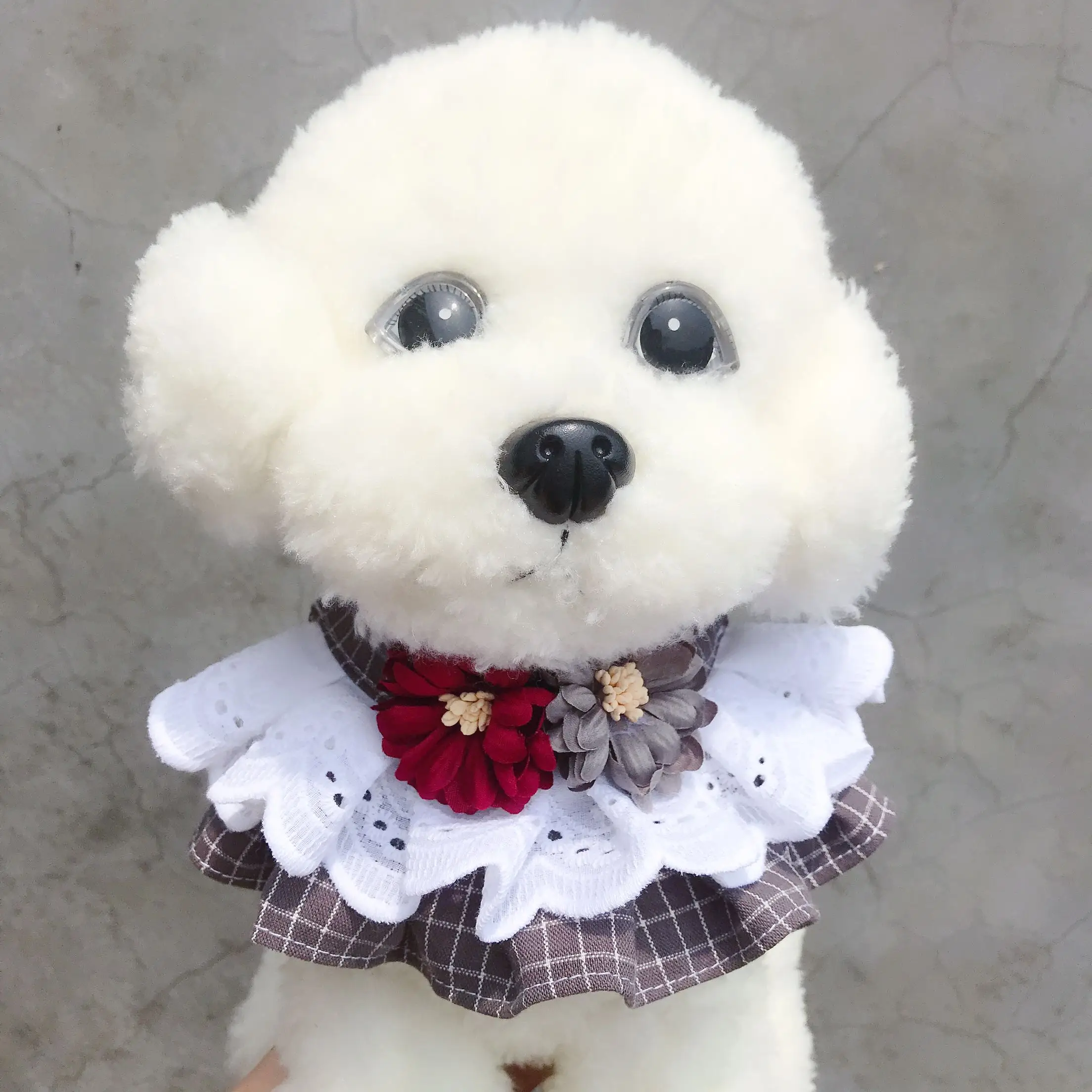 dog lead accessories