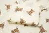 Oso de peluche - Paquete individual de doble capa