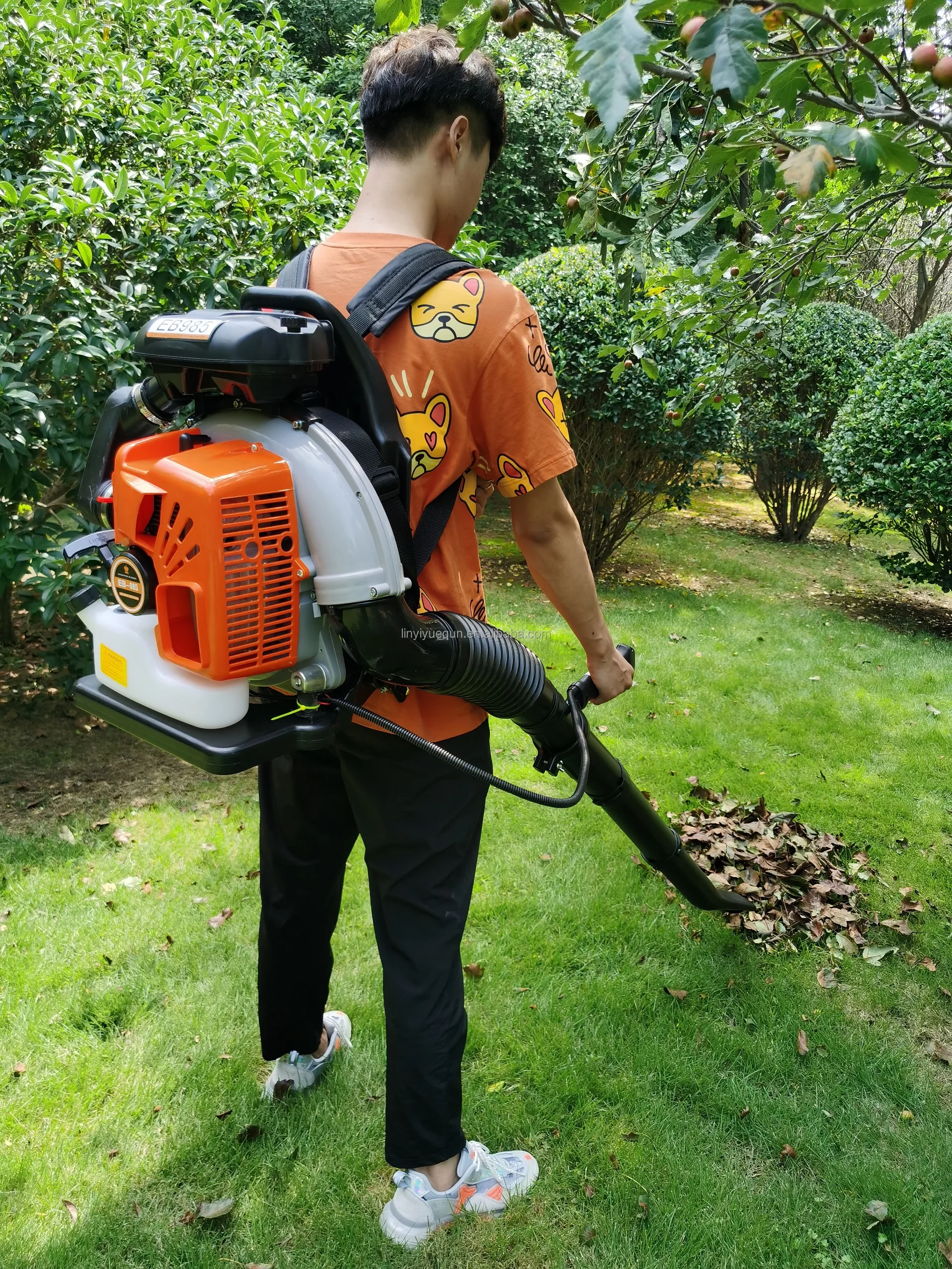 Professional Gas Snow Blower Powerful Backpack Wind Sweeper Back Pack