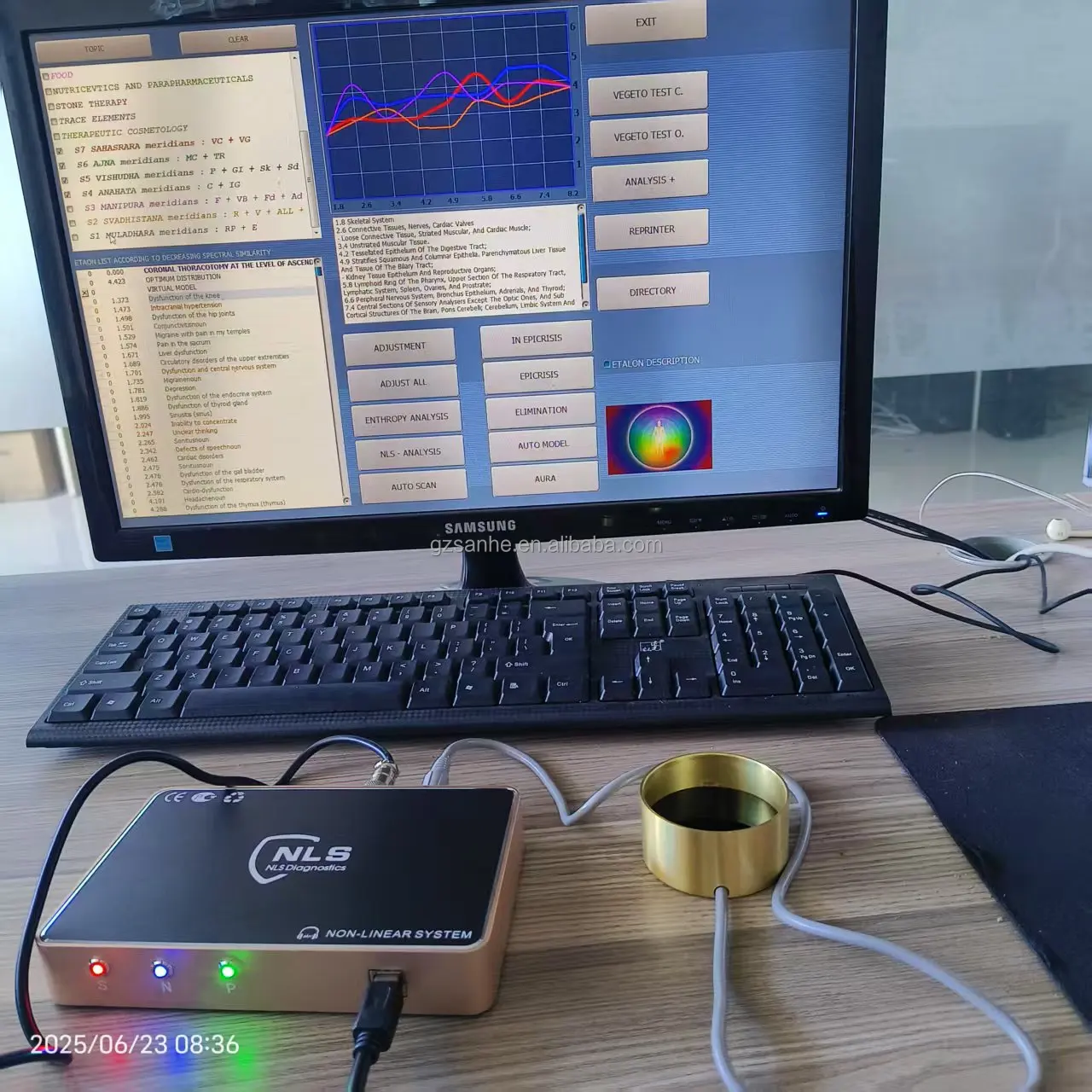 Wholesale CHAKRA 12D NLS Nonlinear Scanner Homeopathy Phytotherapy Meta Correction Vegeto Test Bio Resonance Therapy Machine for