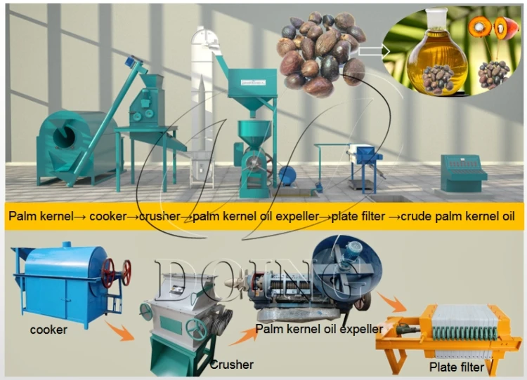 Small Scale PKO Processing Machine to Extract Palm Kernel Oil with High Oil Yield