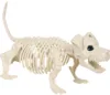 White-Puppy