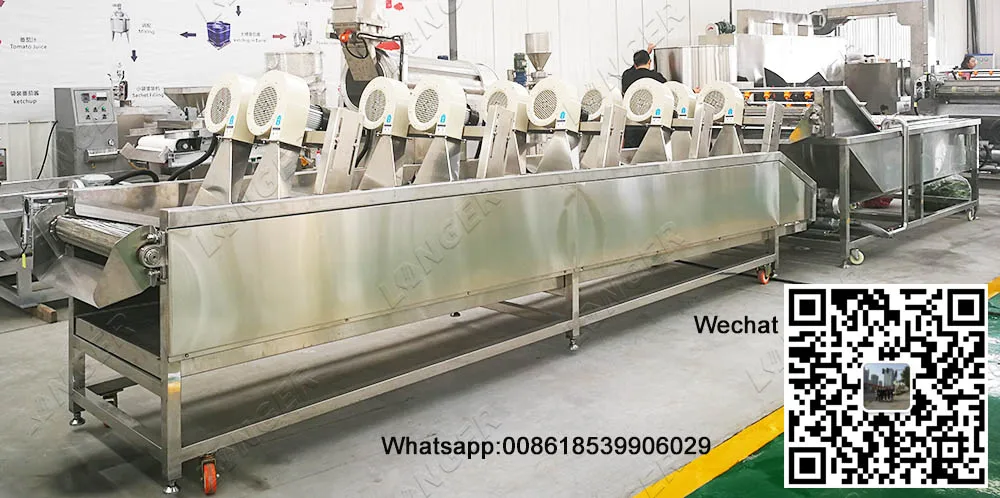 Industrial Fruit and Vegetable Washing Machine Dates Cleaning Machine for the Dates Cleaning