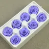 B mei 4-5 roland violeta claro (8)