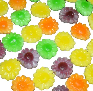 Sunflower Fruity Gummy Candies in Bulk Sweet Snacks with Fruit Flavors