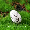1#Colour Egg