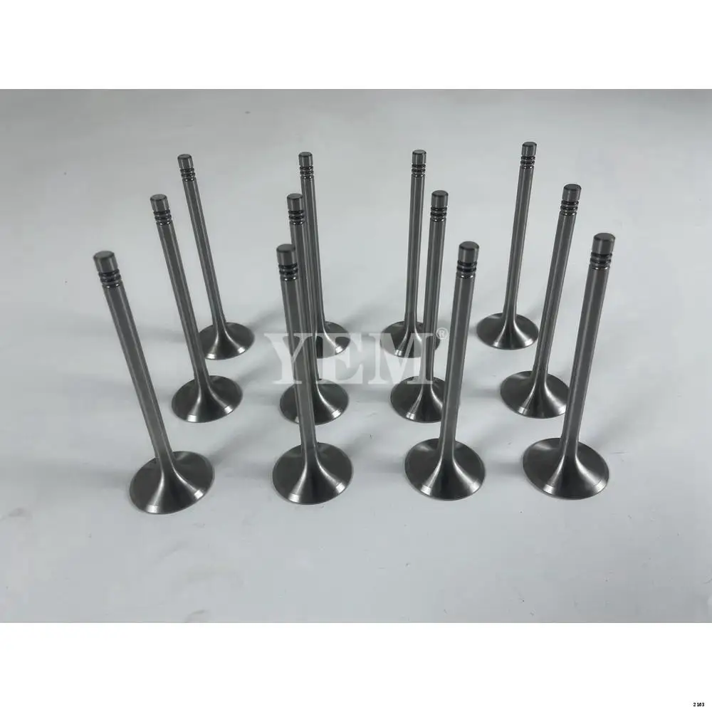 BF6L913 Engine Valve in for Deutz Engine Replacement Parts