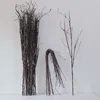 1 small dead branch (70cm)