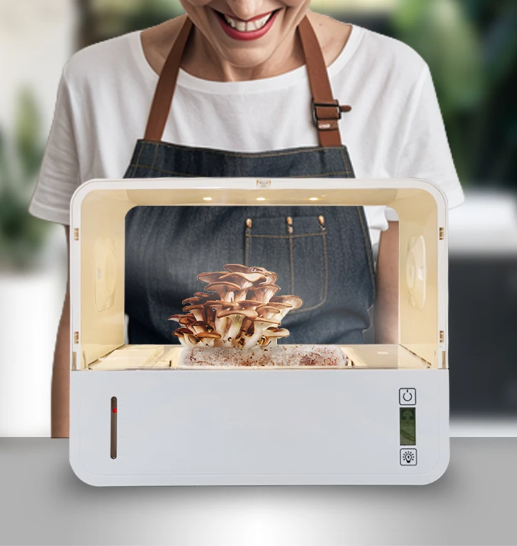 Домашняя Ученая прочная ламинарная портативная микологическая Грибовидная грибница с мешком для хранения