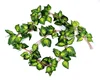 LV03 verde