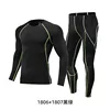 1806 + 1807 black and green tights