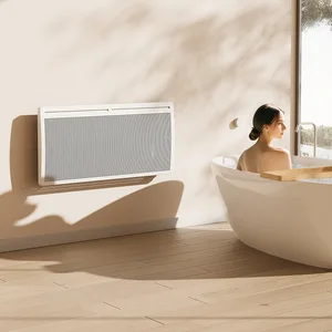 Cross-Border Wall-Mounted Electric Heater with Large-Area Caster Whole-House Energy-Saving Convection Technology