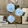 Crisantemo testa Ty-3 pompon-azzurro