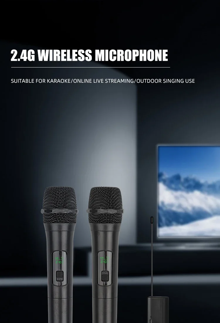 2.4g Wireless Dynamic Microphone Family Karaoke Outdoor Audio ...