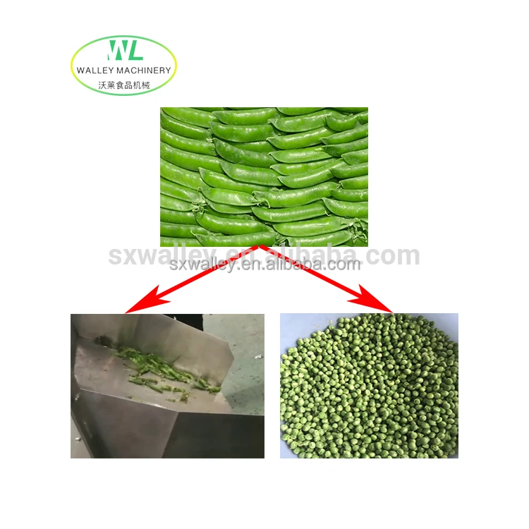 Customizing Green Pea Peeling Machine Depodding Equipment