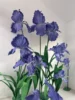 Only diameter flower head  70cm