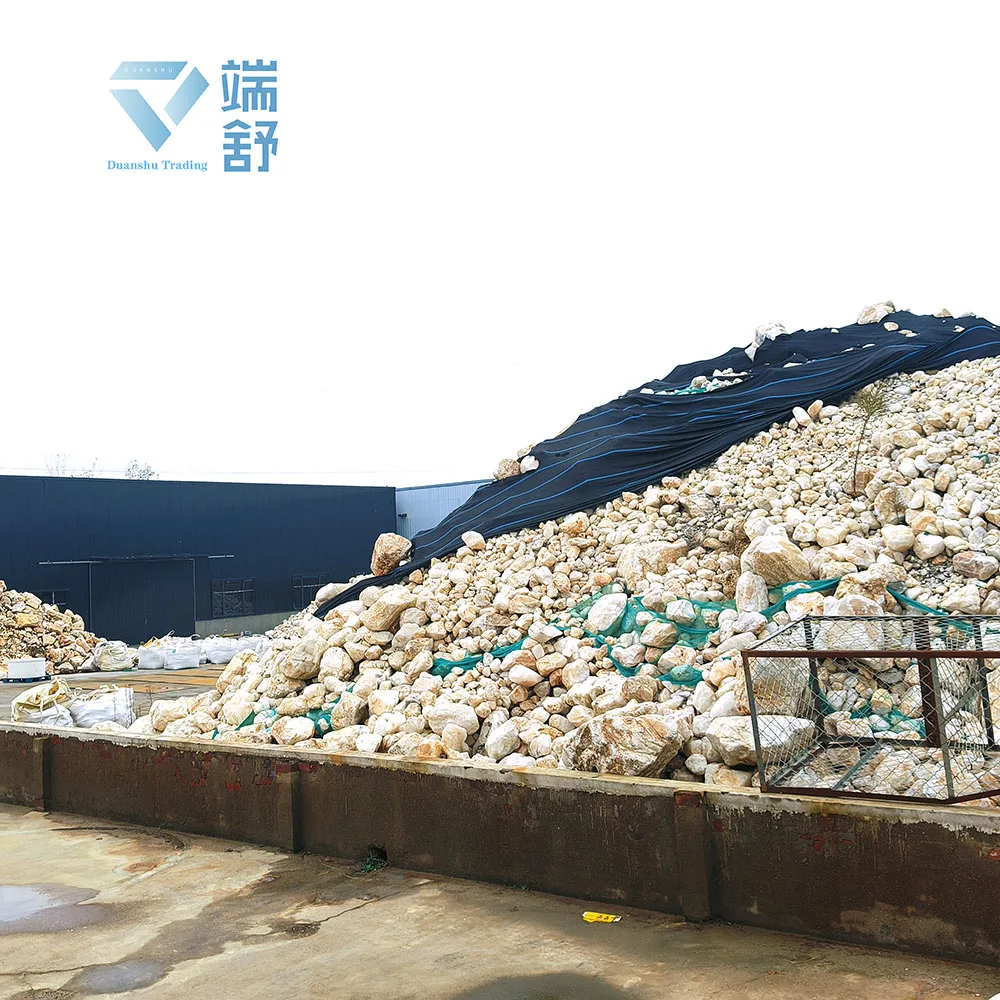 Lianyungang Duanshu Trading Co., Ltd. 2