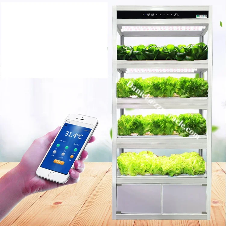 Home Hydroponic Growing Systems Hydroponic Machine for Growing Vegetable