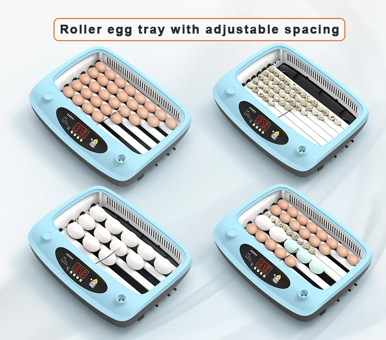 Автоматический инкубатор для яиц небольшой 15 оборудование домашней