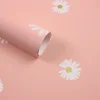 Pink 1