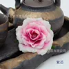 Noyau violet