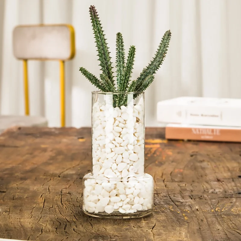 Glass Vase Household Cactus Transparent Hydroponic Plant Vases